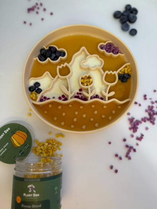Enrichment For The Gut