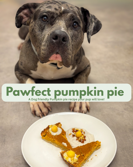 Pawfect pumpkin pie! A dog friendly pumpkin recipe your dog will love