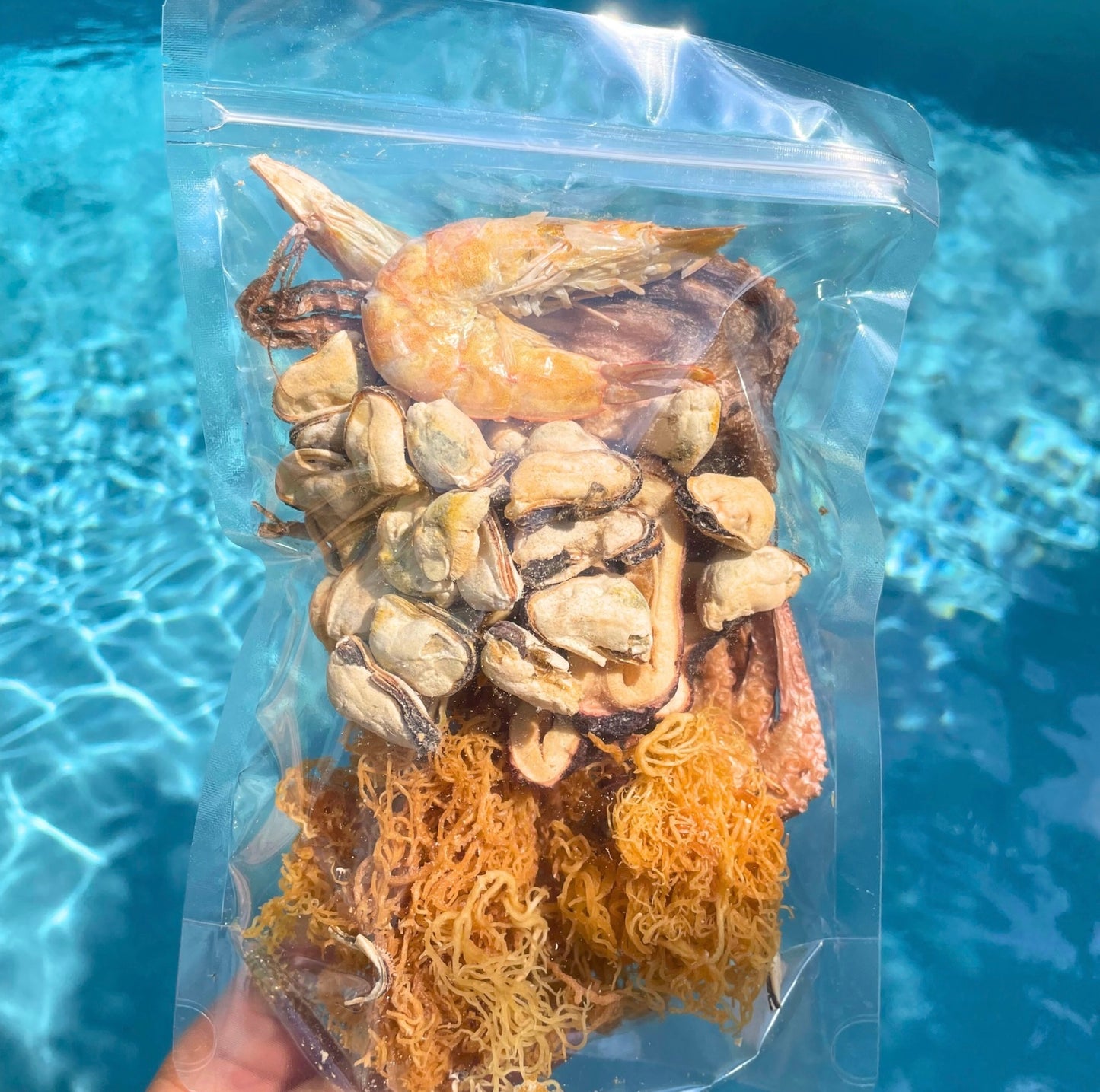 Under The Sea Mix