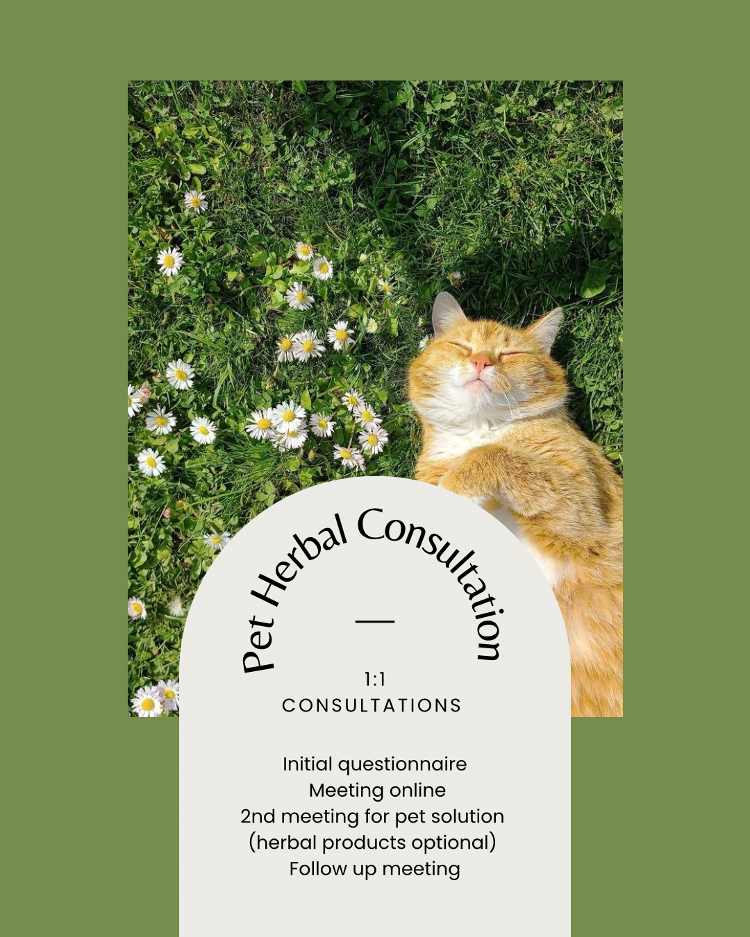 1:1 Pet Herbal Consultation