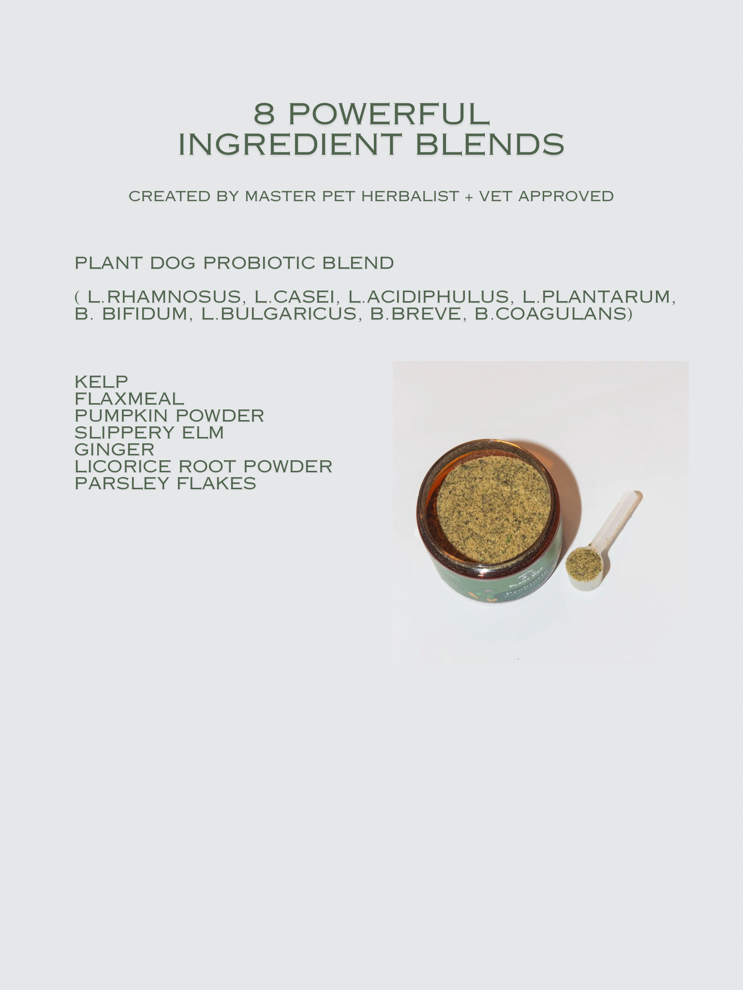 Probiotic Supplement Blend