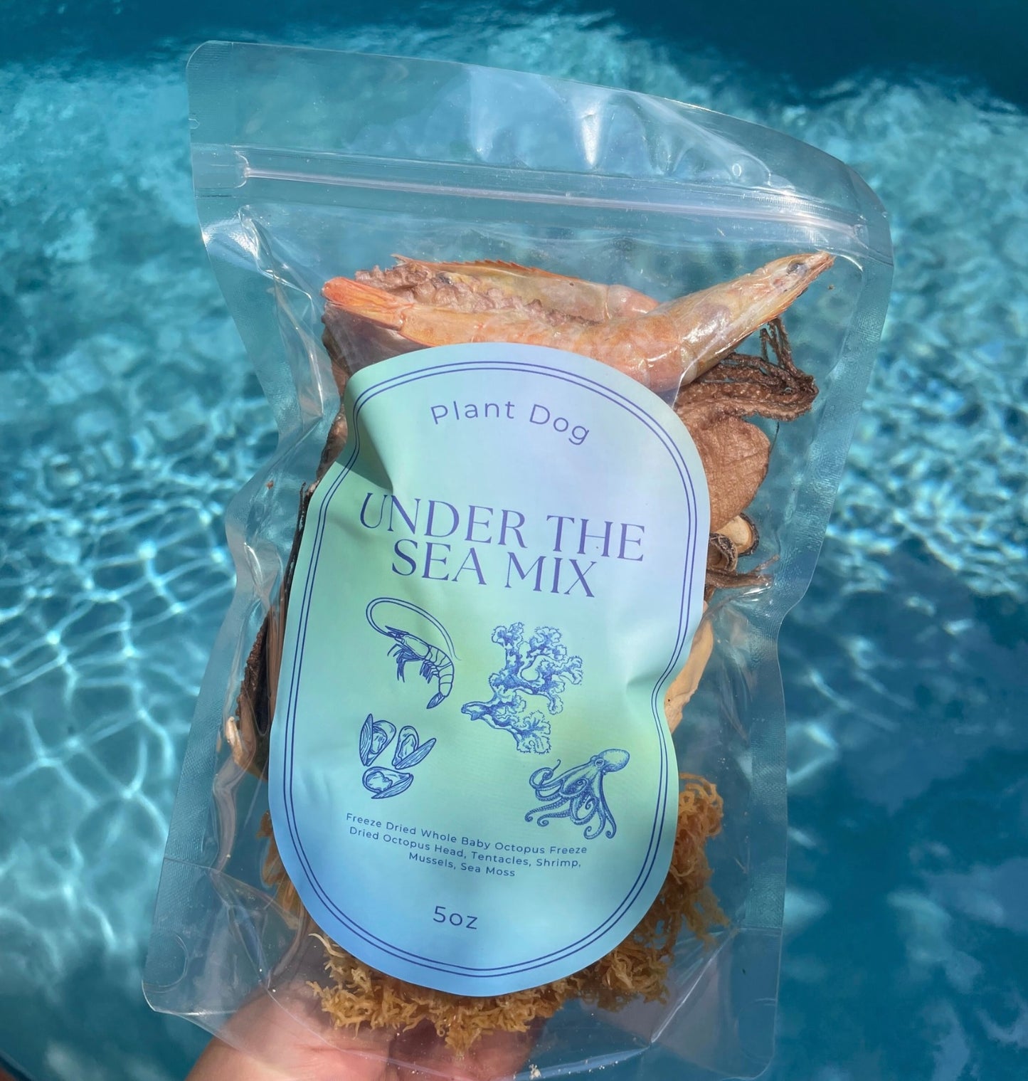 Under The Sea Mix