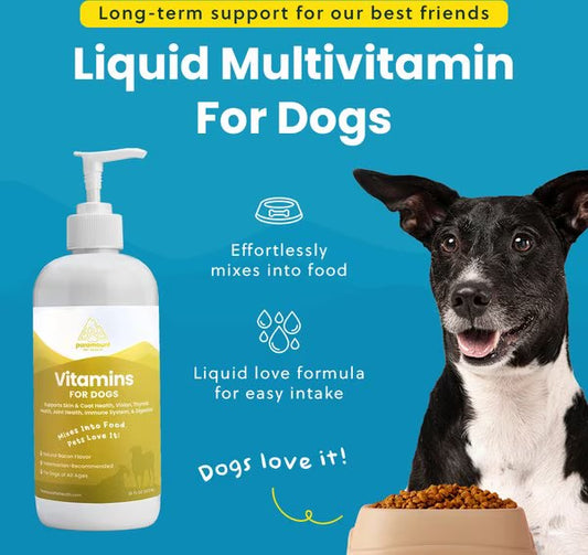 Paramount Pet Health Liquid Vitamins Skin & Coat Support Dog Supplement, 16-fl oz bottle