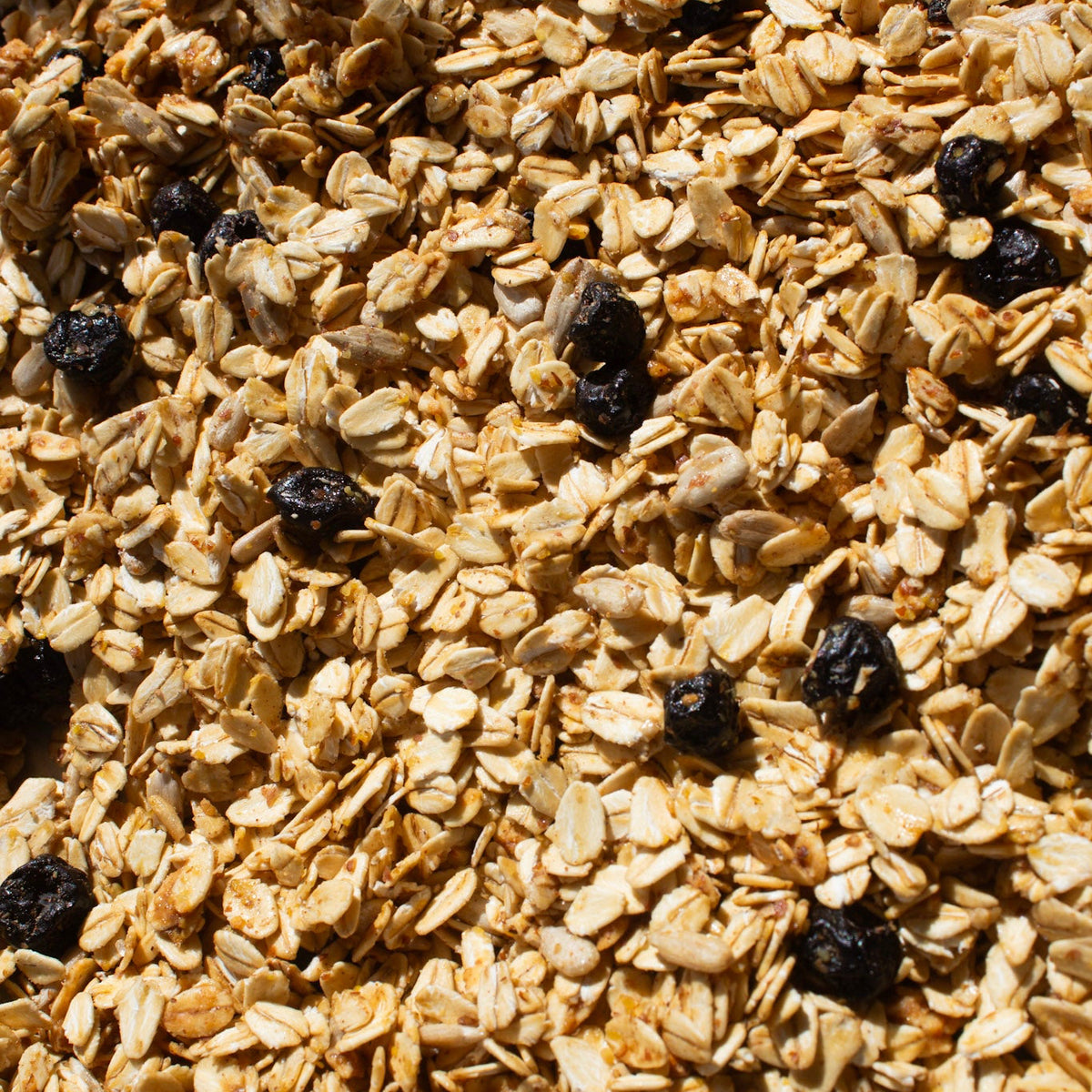 Holiday Granola
