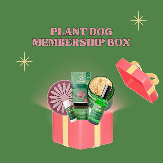 Plant Dog Membership + Box (Bi- Annually)