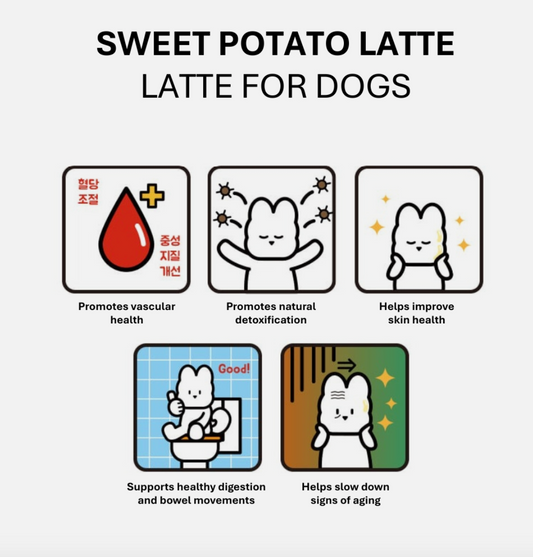 PRE-ORDER Mung Sweet Potato Latte for Dogs – 5-Pack (10g x 5ea)