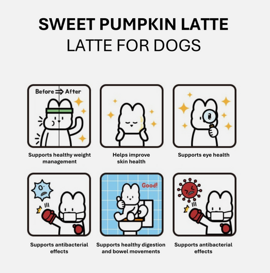 PRE-ORDER Mung Sweet Pumpkin Latte for Dogs – 5-Pack (10g x 5ea)