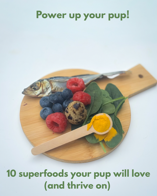 Power up your pup! 10 Superfoods your pup will love (and thrive on)