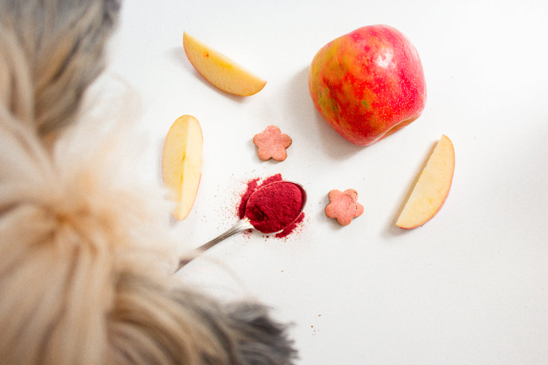 Benefits Of Beets For Your Dog