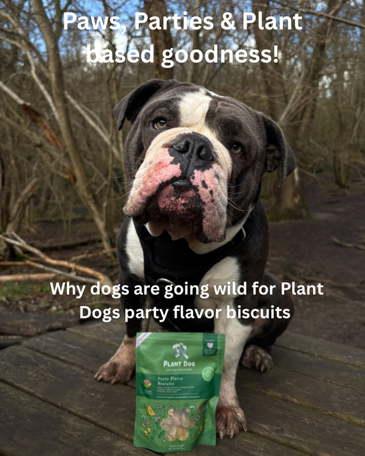 Paws, Parties & Plant Based Goodness! Dogs Are Going Wild for Plant Dog Party Biscuits