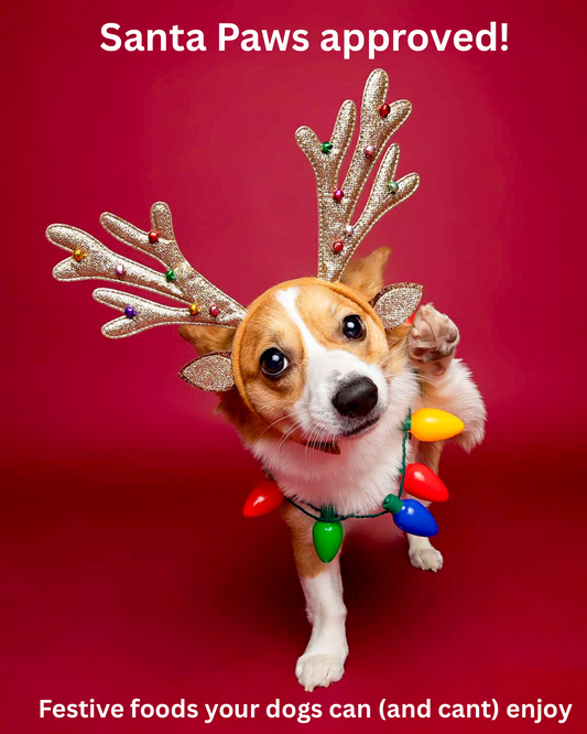 Santa paws approved! Festive foods your dogs can (and cant) enjoy