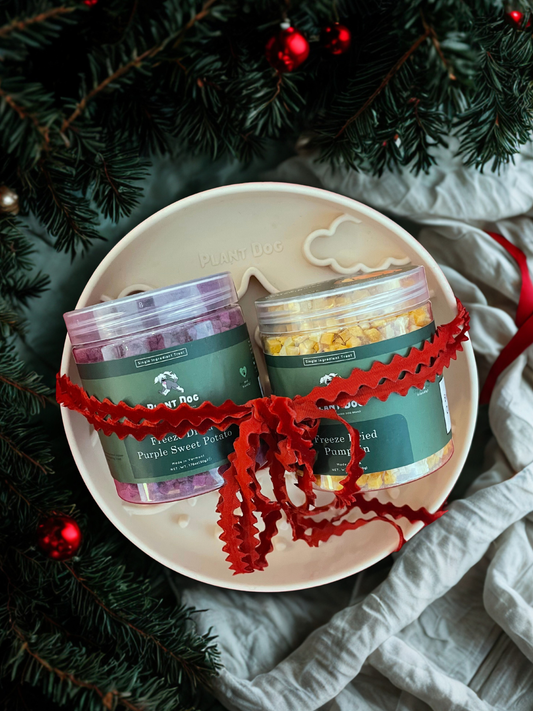 Pawliday Enrichment Bundle